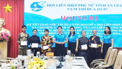 El grupo número 7 de la Unión Provincial de Mujeres de An Giang firmó un acuerdo de imitación.