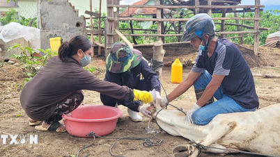 ນະຄອນຫຼວງເຊີນ ເພີ່ມທະວີມາດຕະການຄວບຄຸມ ແລະ ປ້ອງກັນພະຍາດຕາມຊາຍແດນ.