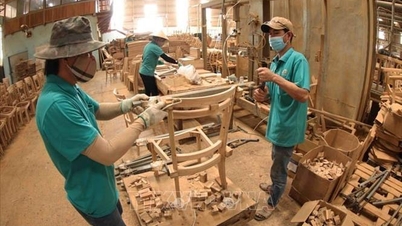 Canada verscherpt de importregels voor hout, waardoor exportbedrijven onder nieuwe druk komen te staan.