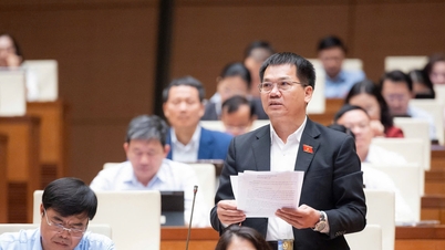 ラムドン省の国会議員は、ドンナイ市を中央直轄市として設立するという原則について、全会一致で合意した。