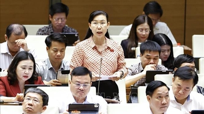 Peraturan yang terlalu terperinci mengenai program perintis peguam awam harus dielakkan.