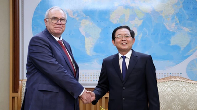 Visestatsminister Ho Quoc Dung mottar IAEAs visedirektør.