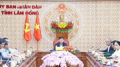 Provincia Lam Dong își concentrează resursele pe căutarea, colectarea și identificarea rămășițelor soldaților căzuți.