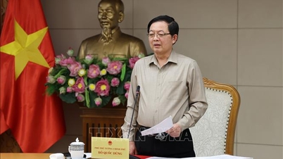 Wicepremier Ho Quoc Dung przyjmuje przywódców Międzynarodowej Agencji Energii Atomowej.