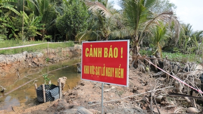Aardverschuiving aan de oostelijke oever van de rivier de Vam Co Tay: 2 huishoudens getroffen, risico blijft toenemen.