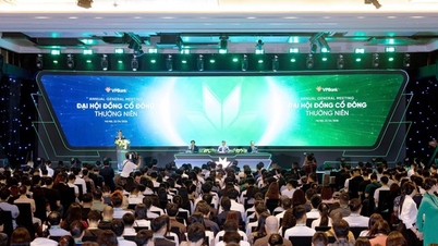 Đại hội cổ đông VPBank 2026: Thông qua tăng vốn, đặt mục tiêu tăng trưởng cao