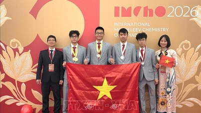 All four Vietnamese students won medals at the Mendeleev International Chemistry Olympiad.