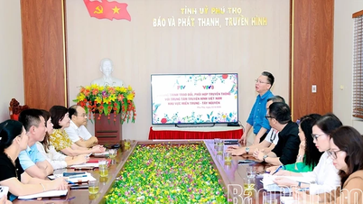2026년 홍왕 기념일 - 홍사 축제 관련 언론 보도를 총괄합니다.