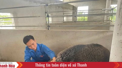 ชายหนุ่มตั้งใจแน่วแน่ที่จะร่ำรวยจากการทำเกษตรกรรม