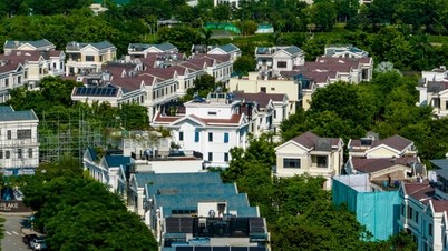 Cán bộ ngân hàng tiết lộ chuyện ưu tiên nhận thế chấp một loại tài sản 'gây nhiều tranh cãi'