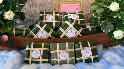 90 Teams wetteifern darum, Banh Chung (traditionelle vietnamesische Reiskuchen) zu packen, um sie König Hung Vuong, dem Nationalahnen, am Jahrestag seines Todes zu opfern.
