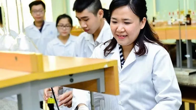 Universitair hoofddocent dr. Ho Thi Thanh Van en haar werk aan het oplossen van het energiezekerheidsprobleem.