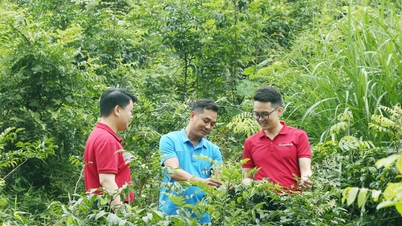 Tín dụng xanh thúc đẩy chuyển đổi kinh tế bền vữngBài cuối: Tín dụng xanh dễ mà khó