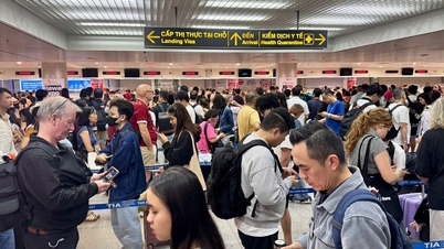 ¿Qué pasajeros que ingresan al aeropuerto de Tan Son Nhat están obligados a declarar su información en línea?