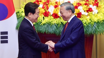 Vietnam og Sør-Korea utvekslet en rekke samarbeidsdokumenter, inkludert ett om kjernekraft.