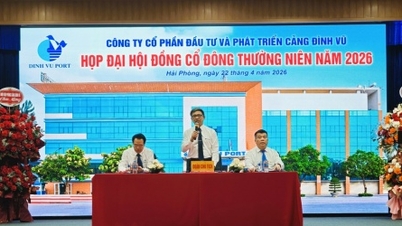 Assemblea degli azionisti del porto di Dinh Vu: fissato un obiettivo di crescita del 14% e un dividendo minimo distribuito del 70%.
