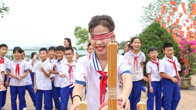 Stiftelsen för vietnamesisk status: Spridning av modellen "Happy School"