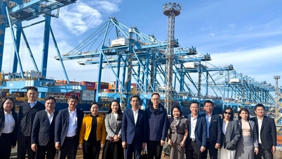 Đoàn công tác thành phố Đà Nẵng khảo sát khu thương mại tự do tại Trung Quốc