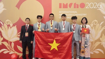 Vietnamese student team wins top prize at 'the most difficult chemistry exam on the planet'.
