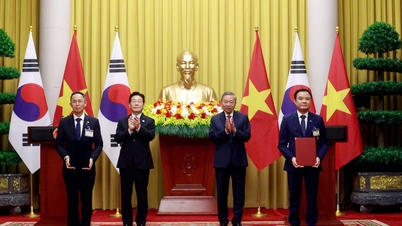 ក្រុមហ៊ុន Petrovietnam កំពុងស្វែងយល់ពីកិច្ចសហប្រតិបត្តិការក្នុងការអភិវឌ្ឍថាមពលនុយក្លេអ៊ែរជាមួយដៃគូកូរ៉េខាងត្បូង។