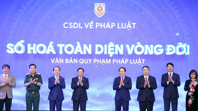 De vicevoorzitter van de Nationale Vergadering, Nguyen Khac Dinh, was aanwezig bij de openingsceremonie van de Nationale Juridische Databank.