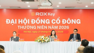 মুনাফা ৪০০% বৃদ্ধি পাওয়ায়, ROX Key উচ্চ-মানের বিভাগে প্রবেশ করতে প্রস্তুত।