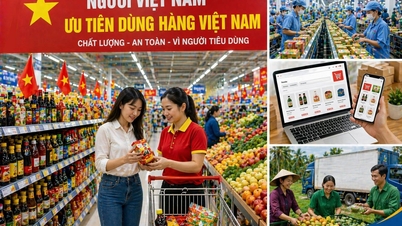 88/NQ-CP sayılı Kararın Uygulanması: İç piyasanın geliştirilmesi, tüketici talebinin canlandırılması ve Vietnam mallarına öncelik verilmesi.