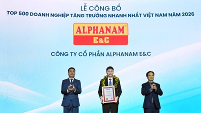 알파남 E&C가 2026년 FAST500 순위에 이름을 올리면서 베트남 기계 및 전기 종합 건설업체의 성장에 있어 중요한 이정표를 세웠습니다.