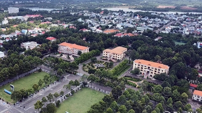 A província de Dong Nai pede uma gestão mais rigorosa dos terrenos e edifícios excedentes para evitar o desperdício.