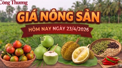 ລາຄາຜະລິດຕະພັນກະສິກຳມື້ນີ້, ວັນທີ 23 ເມສາ: ສິນຄ້າຫຼາຍຢ່າງມີແນວໂນ້ມຫຼຸດລົງຢ່າງຫຼວງຫຼາຍ.
