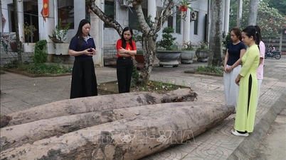 การตรวจสอบอายุของเสาไม้โบราณ 3 ต้นที่ค้นพบในจังหวัดนิงบิงห์