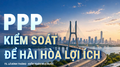 PPP: שליטה להרמוניזציה של אינטרסים