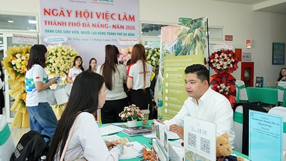 Banenbeurs Da Nang 2026: Werving van meer dan 41.000 werknemers.