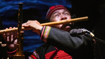 Музыкальный коллектив, исполняющий традиционную вьетнамскую музыку, удостоен чести со стороны корейского делового сообщества.