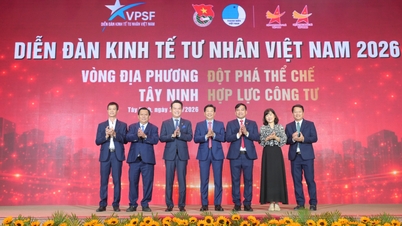 Fórum Econômico Privado em Tay Ninh - Avanços institucionais, parcerias público-privadas, desbloqueio de recursos