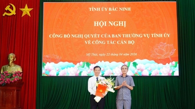 Bac Ninh: Anuncio de las decisiones relativas al traslado y nombramiento de funcionarios clave en la comuna de My Thai.
