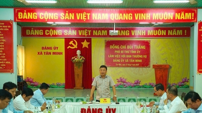 លោក ប៊ូយថាង អនុលេខាគណៈកម្មាធិការបក្សខេត្តឡាំដុង ធ្វើការនៅឃុំតឹនមិញ។