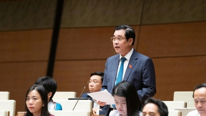 Poseł Zgromadzenia Narodowego Nguyen Cao Son (prowincja Phu Tho): Należy zminimalizować ryzyko prawne dla podatników.