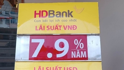 Ratele dobânzilor la HDBank au fost reduse uniform cu 0,5 puncte procentuale, cea mai mare rată fiind acum de 7,6% pe an.