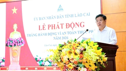 Lao Cai: Auftaktveranstaltung zum Aktionsmonat für Lebensmittelsicherheit 2026