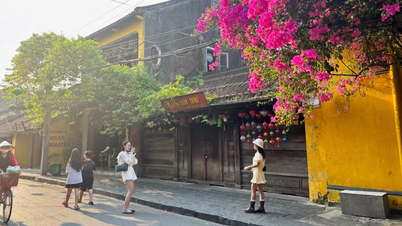 Tendances de voyage de la génération Z vietnamienne : privilégier les courts séjours, les expériences enrichissantes et le rapport qualité-prix.