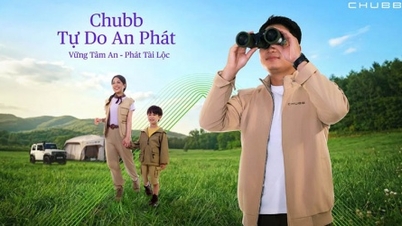 Thêm lựa chọn linh hoạt cho kế hoạch tài chính cá nhân với Chubb - Tự Do An Phát
