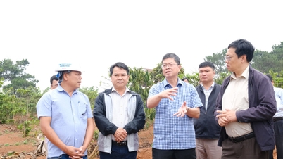 Para pemimpin wilayah Lam Dong memeriksa persiapan untuk pembinaan dua lebuh raya.