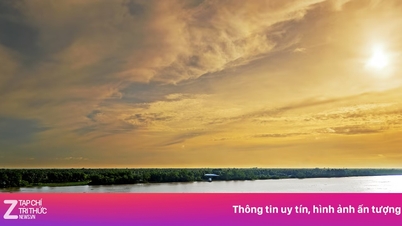 Partecipa a una crociera sul fiume Mekong per ammirare il Vietnam e la Cambogia.