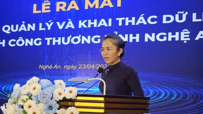 Nghe An, Dipartimento dell'Industria e del Commercio: la prima unità ad avviare un sistema di dati digitali specializzato.