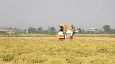 We must resolutely address the issue of drying rice on the roads and burning straw after harvest.