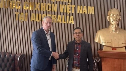 Rafforzare i legami tra le imprese australiane che investono in Vietnam.