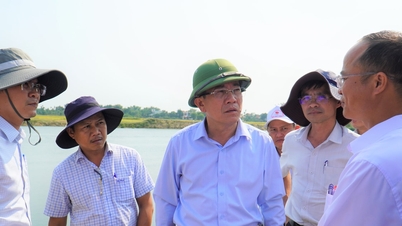 Expedite the construction of the saltwater intrusion barrier dam on the Vinh Dien River.