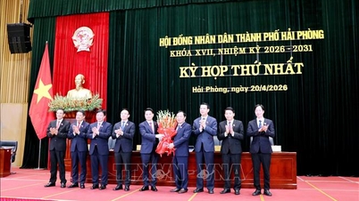 Genehmigung der Ernennung von Herrn Do Thanh Trung zum Vorsitzenden des Volkskomitees der Stadt Hai Phong.