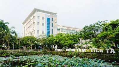 11 vietnamesische Universitäten schaffen es in die Rangliste der besten Universitäten Asiens, die meisten fallen jedoch in der Rangliste zurück.
